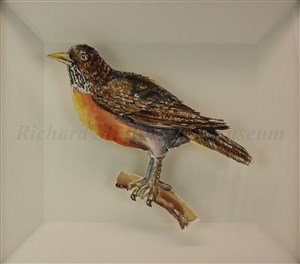 Image description is not available for 2014.093